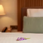 Hotel Casa Lumar Luxury Lodging- Adult Only *